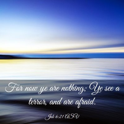 Picture 03 - Job 6:21 ASV - For now ye are nothing; Ye see a terror, and are - Bible Verse Picture