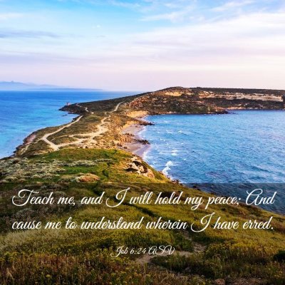 Picture 03 - Job 6:24 ASV - Teach me, and I will hold my peace; And cause me - Bible Verse Picture