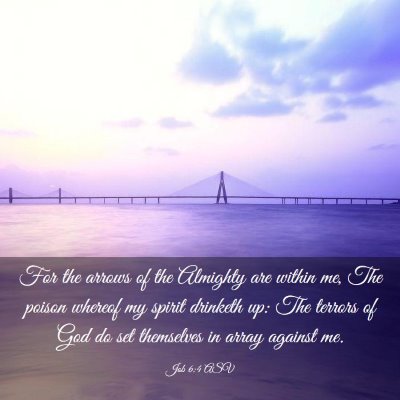 Picture 03 - Job 6:4 ASV - For the arrows of the Almighty are within me, The - Bible Verse Picture