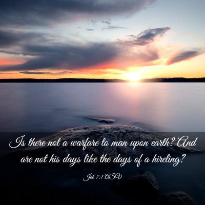 Picture 03 - Job 7:1 ASV - Is there not a warfare to man upon earth? And are - Bible Verse Picture