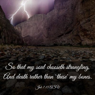Picture 03 - Job 7:15 ASV - So that my soul chooseth strangling, And death - Bible Verse Picture