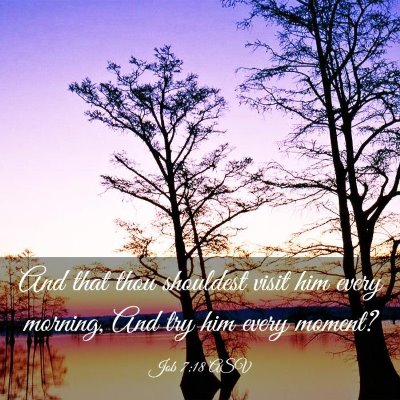 Picture 03 - Job 7:18 ASV - And that thou shouldest visit him every morning, - Bible Verse Picture
