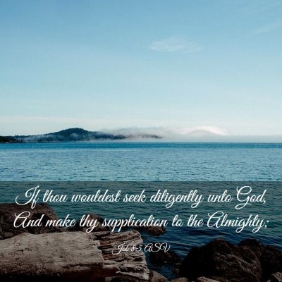 Picture 03 - Job 8:5 ASV - If thou wouldest seek diligently unto God, And - Bible Verse Picture