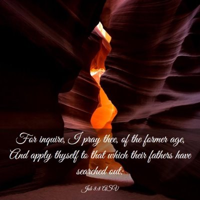 Picture 03 - Job 8:8 ASV - For inquire, I pray thee, of the former age, And - Bible Verse Picture