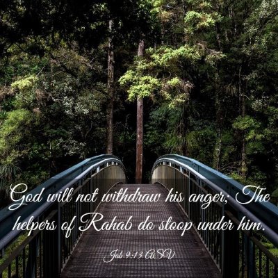 Picture 03 - Job 9:13 ASV - God will not withdraw his anger; The helpers of - Bible Verse Picture