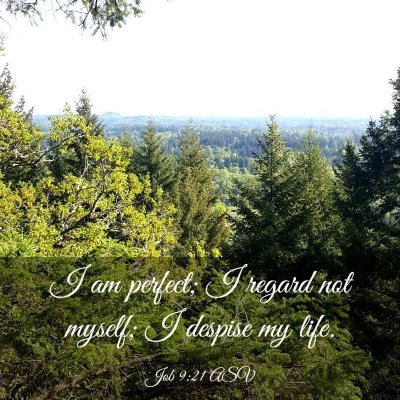 Picture 03 - Job 9:21 ASV - I am perfect; I regard not myself; I despise my - Bible Verse Picture