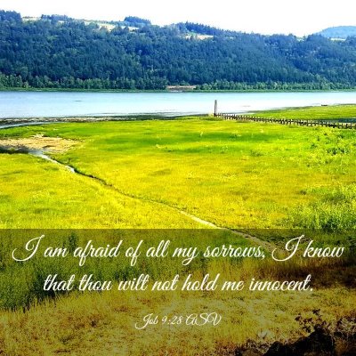 Picture 03 - Job 9:28 ASV - I am afraid of all my sorrows, I know that thou - Bible Verse Picture