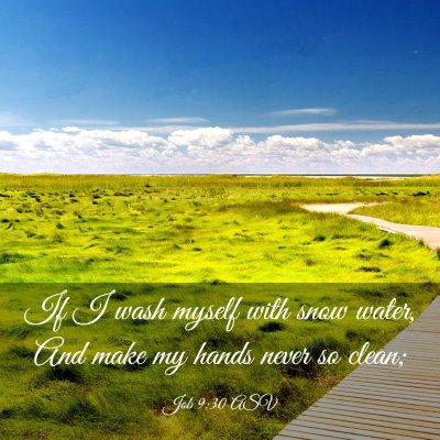 Picture 03 - Job 9:30 ASV - If I wash myself with snow water, And make my - Bible Verse Picture