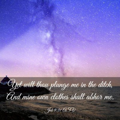 Picture 03 - Job 9:31 ASV - Yet wilt thou plunge me in the ditch, And mine - Bible Verse Picture