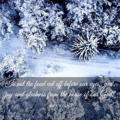 Picture 03 - Joel 1:16 ASV - Is not the food cut off before our eyes, `yea', - Bible Verse Picture