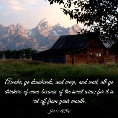 Picture 03 - Joel 1:5 ASV - Awake, ye drunkards, and weep; and wail, all ye - Bible Verse Picture