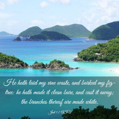 Picture 03 - Joel 1:7 ASV - He hath laid my vine waste, and barked my - Bible Verse Picture