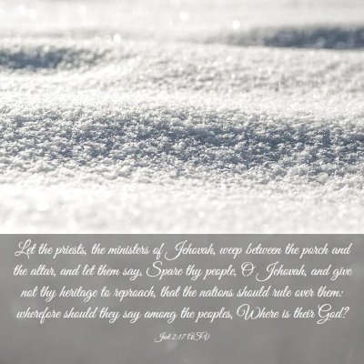 Picture 03 - Joel 2:17 ASV - Let the priests, the ministers of Jehovah, weep - Bible Verse Picture