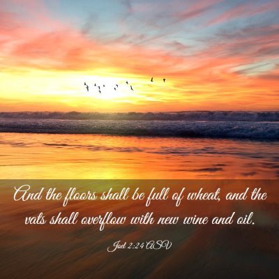 Picture 03 - Joel 2:24 ASV - And the floors shall be full of wheat, and the - Bible Verse Picture