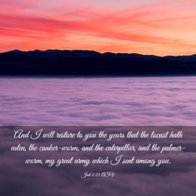 Picture 03 - Joel 2:25 ASV - And I will restore to you the years that the - Bible Verse Picture