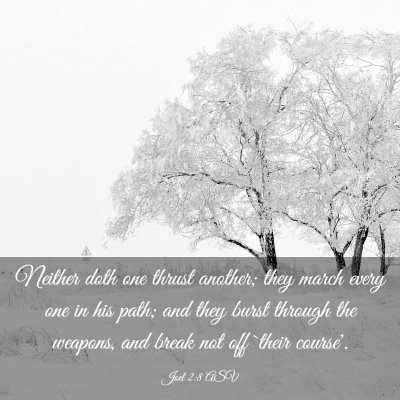 Picture 03 - Joel 2:8 ASV - Neither doth one thrust another; they march every - Bible Verse Picture
