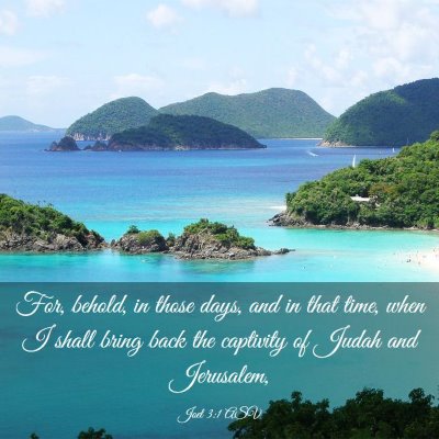 Picture 03 - Joel 3:1 ASV - For, behold, in those days, and in that time, - Bible Verse Picture