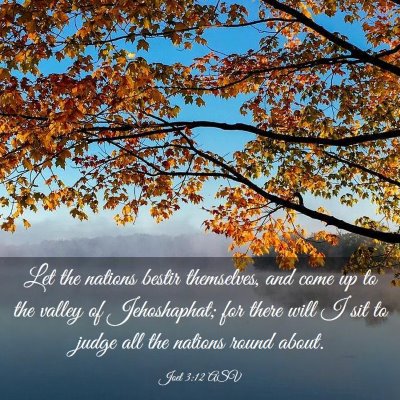Picture 03 - Joel 3:12 ASV - Let the nations bestir themselves, and come up to - Bible Verse Picture