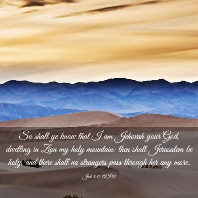 Picture 03 - Joel 3:17 ASV - So shall ye know that I am Jehovah your God, - Bible Verse Picture