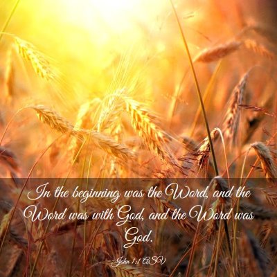 Picture 03 - John 1:1 ASV - In the beginning was the Word, and the Word was - Bible Verse Picture