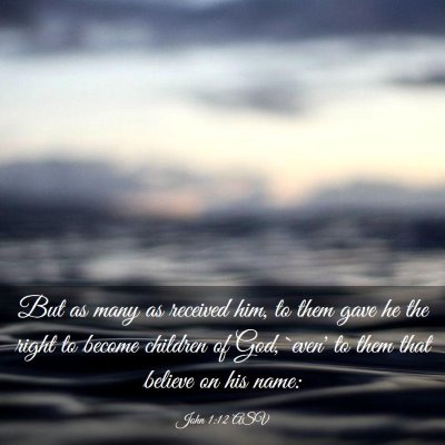 Picture 03 - John 1:12 ASV - But as many as received him, to them gave he the - Bible Verse Picture
