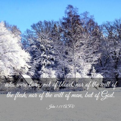Picture 03 - John 1:13 ASV - who were born, not of blood, nor of the will of - Bible Verse Picture