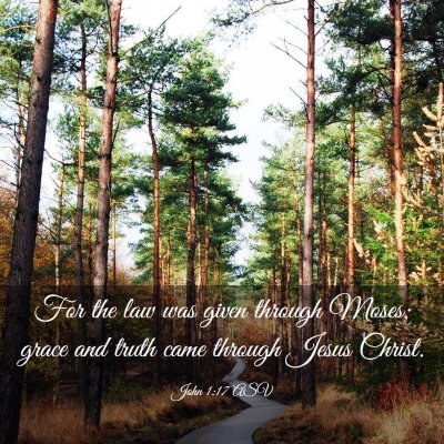 Picture 03 - John 1:17 ASV - For the law was given through Moses; grace and - Bible Verse Picture