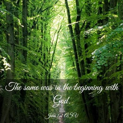 Picture 03 - John 1:2 ASV - The same was in the beginning with - Bible Verse Picture