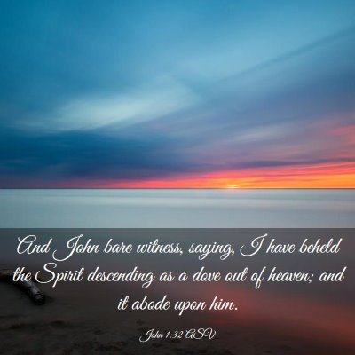 Picture 03 - John 1:32 ASV - And John bare witness, saying, I have beheld the - Bible Verse Picture