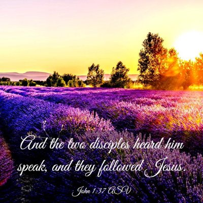 Picture 03 - John 1:37 ASV - And the two disciples heard him speak, and they - Bible Verse Picture