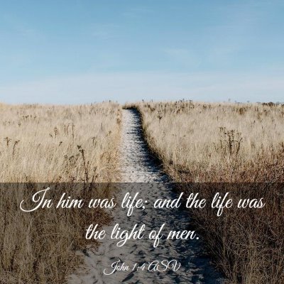 Picture 03 - John 1:4 ASV - In him was life; and the life was the light of - Bible Verse Picture