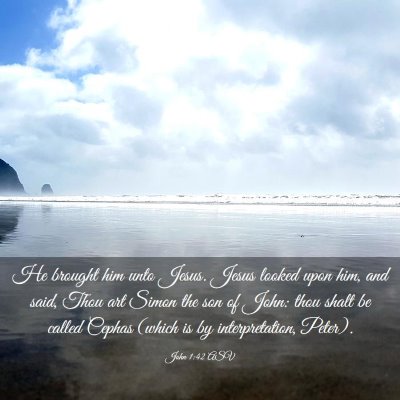 Picture 03 - John 1:42 ASV - He brought him unto Jesus. Jesus looked upon him, - Bible Verse Picture