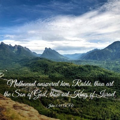 Picture 03 - John 1:49 ASV - Nathanael answered him, Rabbi, thou art the Son - Bible Verse Picture