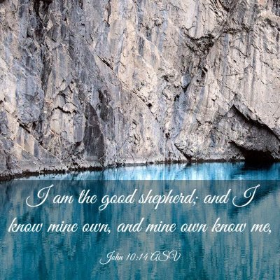 Picture 03 - John 10:14 ASV - I am the good shepherd; and I know mine own, and - Bible Verse Picture