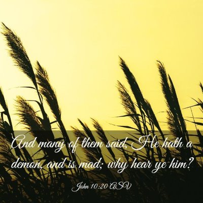 Picture 03 - John 10:20 ASV - And many of them said, He hath a demon, and is - Bible Verse Picture