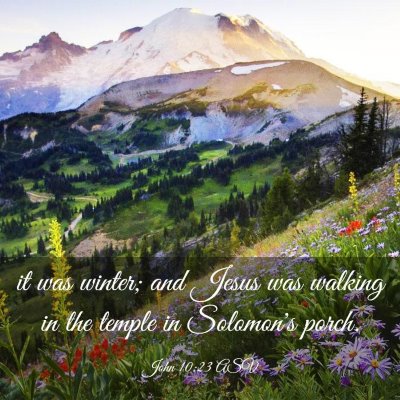 Picture 03 - John 10:23 ASV - it was winter; and Jesus was walking in the - Bible Verse Picture