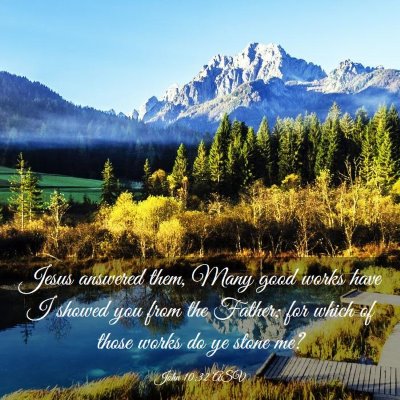 Picture 03 - John 10:32 ASV - Jesus answered them, Many good works have I - Bible Verse Picture