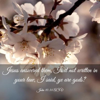 Picture 03 - John 10:34 ASV - Jesus answered them, Is it not written in your - Bible Verse Picture