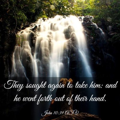 Picture 03 - John 10:39 ASV - They sought again to take him: and he went forth - Bible Verse Picture