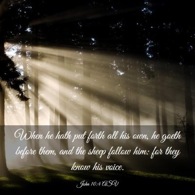 Picture 03 - John 10:4 ASV - When he hath put forth all his own, he goeth - Bible Verse Picture
