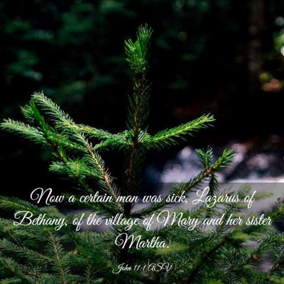 Picture 03 - John 11:1 ASV - Now a certain man was sick, Lazarus of Bethany, - Bible Verse Picture