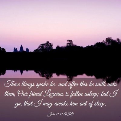 Picture 03 - John 11:11 ASV - These things spake he: and after this he saith - Bible Verse Picture