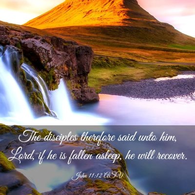 Picture 03 - John 11:12 ASV - The disciples therefore said unto him, Lord, if - Bible Verse Picture