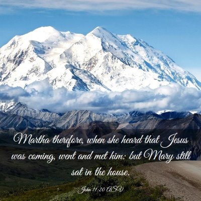Picture 03 - John 11:20 ASV - Martha therefore, when she heard that Jesus was - Bible Verse Picture