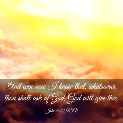 Picture 03 - John 11:22 ASV - And even now I know that, whatsoever thou shalt - Bible Verse Picture