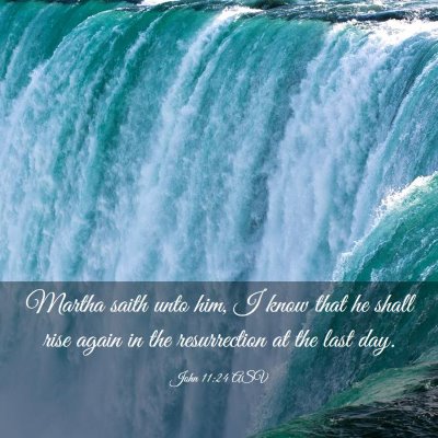 Picture 03 - John 11:24 ASV - Martha saith unto him, I know that he shall rise - Bible Verse Picture