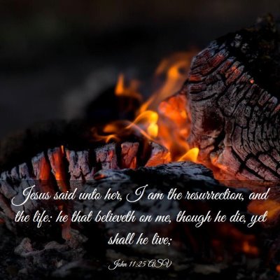 Picture 03 - John 11:25 ASV - Jesus said unto her, I am the resurrection, and - Bible Verse Picture