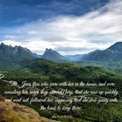 Picture 03 - John 11:31 ASV - The Jews then who were with her in the house, and - Bible Verse Picture