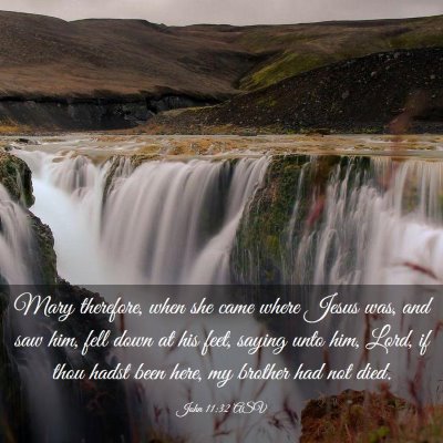 Picture 03 - John 11:32 ASV - Mary therefore, when she came where Jesus was, - Bible Verse Picture