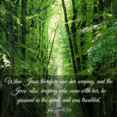 Picture 03 - John 11:33 ASV - When Jesus therefore saw her weeping, and the - Bible Verse Picture